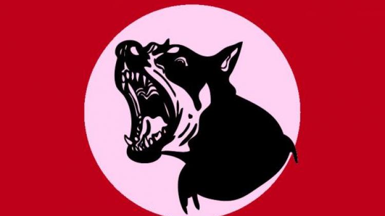 15 ವರ್ಷಗಳಲ್ಲಿ ಹುಚ್ಚುನಾಯಿ ಕಡಿತದಿಂದ ದೇಶದಲ್ಲಿ ಎಷ್ಷು ಲಕ್ಷ ಸಾವು ಸಂಭವಿಸಿದೆ ?